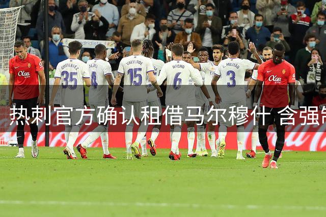热刺官方确认租借马尔穆什 含强制买断条款